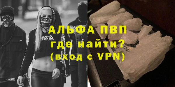 индика Бородино
