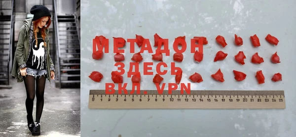индика Бородино