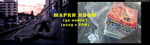 индика Бородино