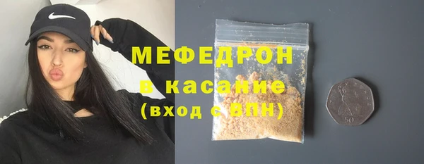 индика Бородино