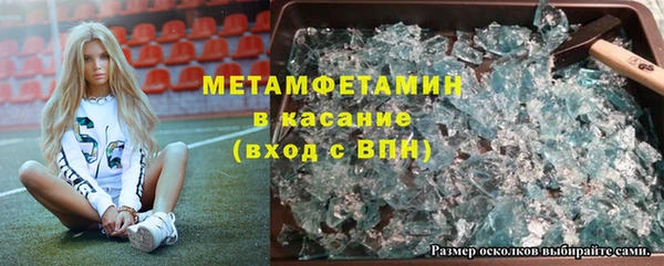 индика Бородино