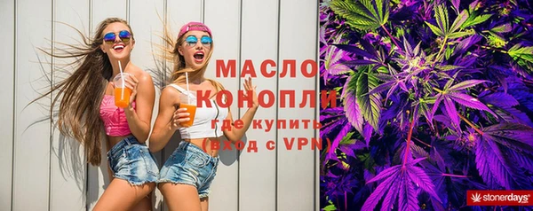 индика Бородино
