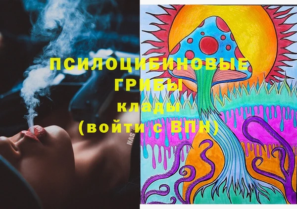 индика Бородино