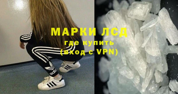 индика Бородино