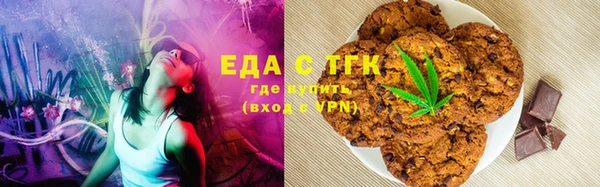 индика Бородино