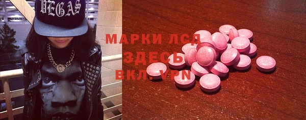 индика Бородино