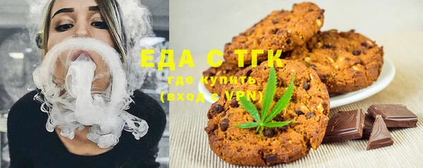 индика Бородино