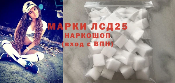 индика Бородино